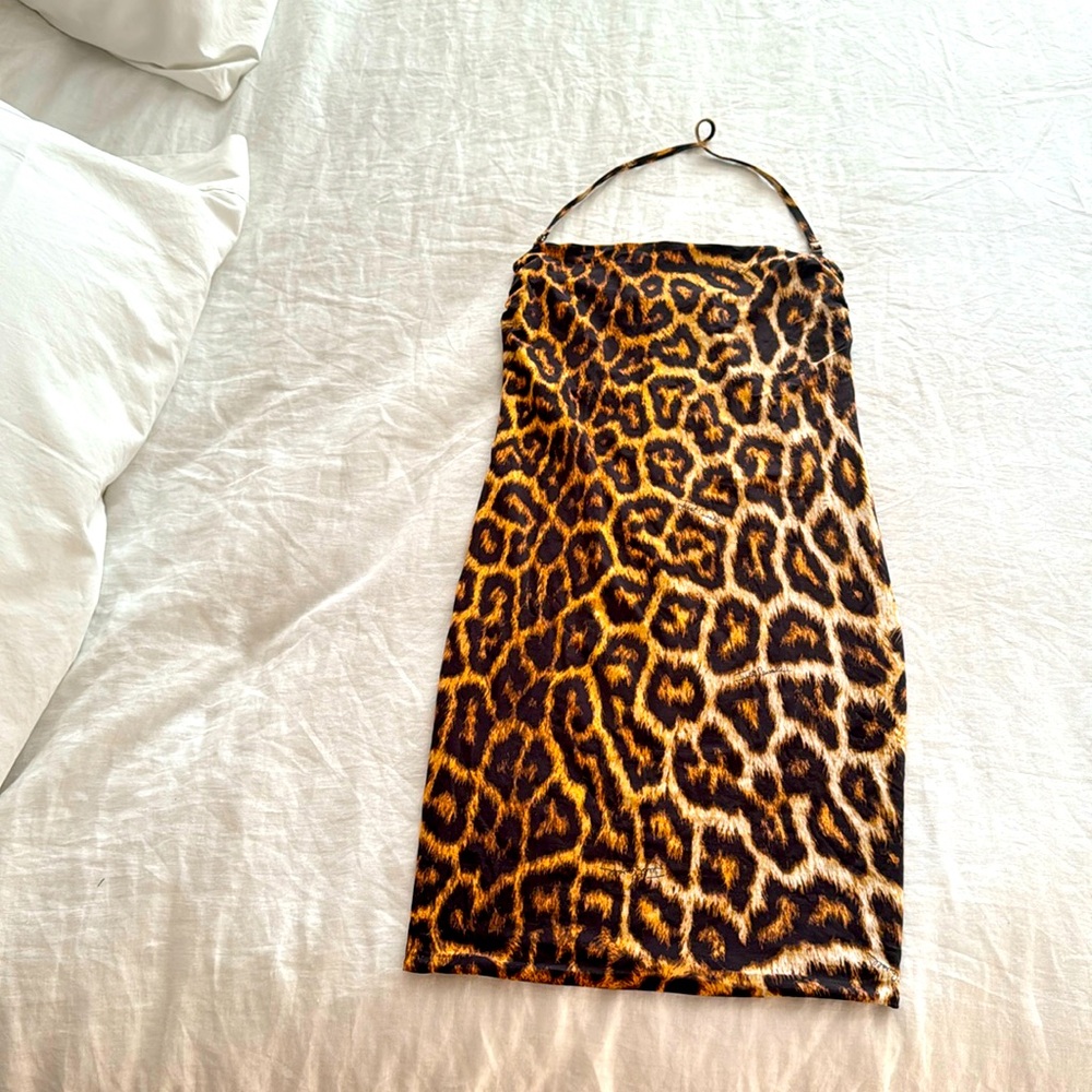 CAVALLI dress
